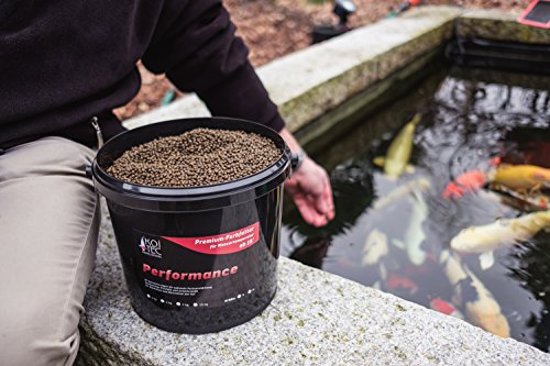 Koi-Futter Farbfutter Sommer, 6mm, 2kg – tolle Farbverstärkung der Koi durch hochwertigste Spirulina-Algen, starkes Wachstum – auch als Fisch-Futter - 4