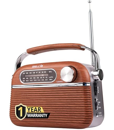 Sony ICF-P27 - Portable AM/FM radio - Black : Amazon.in: Electronics