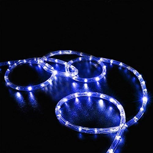 Solar Rope Lights,DINOWIN 100 LEDs 39ft/12M Waterproof Copper Wire Lights Tube, Outdoor Rope Lights for Garden Yard Path Fence Tree Wedding Party Decorative (Blue)
