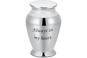 Minicremation Urna per ceneri umane Urne cremazione per ceneri umane/animali domestici Mini urna ricordo per ceneri in acciaio inox piccola urna commemorativa