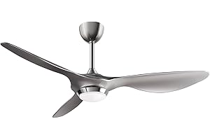 reiga Ventilatori da Soffitto con Lampada Silenzioso con luce LED, 132cm, Reversibile, 3CCT, 6 Velocità, Timer, Moderne Argento