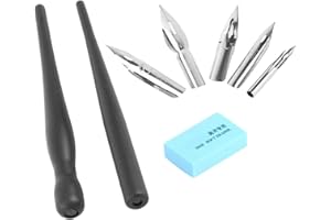 ACOGEDOR Stylos de dessin manga, outil de dessin, 2 stylos à bille et supports à 5 points, durables, anticorrosifs, pour bandes dessinées débutants, pour travaux de conception en filigrane