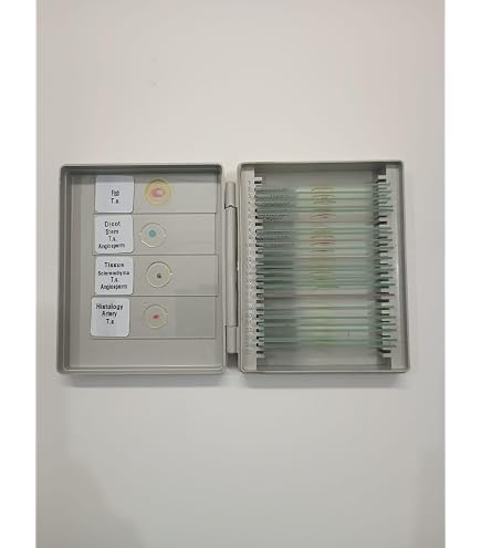 AmScope SP-14 - Kit de preparación de diapositivas para microscopio que incluye manchas - Yaxa