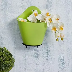 Home Centre Valencia Solid Hanging Planter