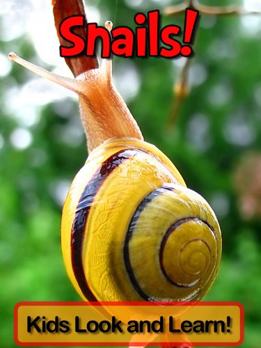 Snails! Learn About Snails and Enjoy Colorful Pictures - Look and Learn! (50+ Photos of Snails) (English Edition) livre