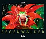 Image de Regenwälder 2009: Mohn Media
