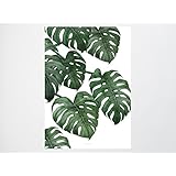 Kunstdruck Poster / Tropical No. 6