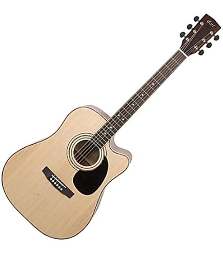 Washburn EA12B Mini Jumbo Elektro Akustik Gitar : Amazon.com.tr