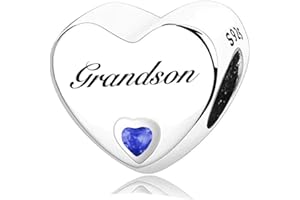 MsRosy New Women's S925 Sterling Silver Heart Charms For Bracelets Gift For the Family and Friends