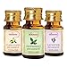 St.Botanica Lavender + Peppermint + Ylang-Ylang Pure Essential Oils (10ml Each) RS.897.00