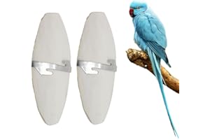 XUKZIMA 2 Pcs Cuttlefish Bone Birds Parrots Chewing Toys with 2 Pcs Metal Holder Natural Cuttlefish Bone Bird Pet Molar Toy for Parrots Cage Birds Reptiles Tortoises Snails(11-13cm)