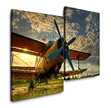 altes schrott flugzeug kaufen Die Ränder der Bilder werden standardmäßig in den Motivfarben bedruckt, so dass ein extra Bilderrahmen nicht erforderlich ist. Unsere Bilder werden mit pigmentbasierten Tinten gedruckt und bieten ein fantastisches Farbergebnis mit hohen Kontrasten. Überzeugen Sie sich selbst! Alle Bilder werden fertig aufgespannt auf Holzrahmen an die Kunden geliefert, so dass Sie keinen zusätzlichen Rahmen oder andere Spannvorrichtungen benötigen