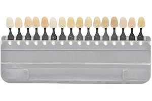 CYSJ 1Set Dentaire Blanchiment Des Dents Guide De L'ombre Avec 16 Couleurs, Blanchiment Des Dents Tableau De Porcelaine Dentiste Matériel Dentaire Matériel Dentaire Whiting