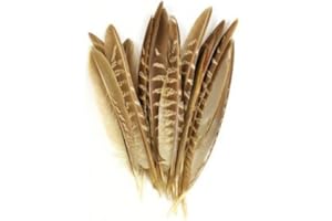 GUOML Veniard Plumes de pêche à la mouche, plumes de faisan assorties, 1 pièce, pour la pêche à la mouche