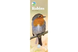 CAROUSEL CALENDARS RSPB Robins Slim Calendar 2024