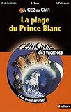 ENIGME VAC CE2 AU CM1 LA PLAGE
