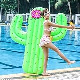 kayak airbag valves Diseño cómodo y elegante: este salón de cactus es una estructura de airbag cerrada que es suave y cómoda de usar.
