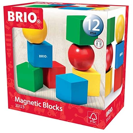 BRIO 30123 BLOCS DE CONSTRUCTION MAGNETIQUES