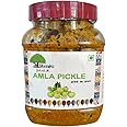 Abheesht Amla Pickle 400g | 100% Fresh Amla with Homemade Taste & Pure Natural Healthy Ingredients | Pickles in Mustard Oil