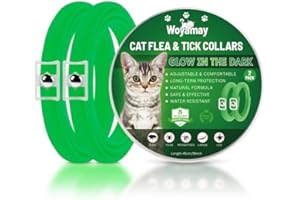 Woyamay Collare Antiparassitario per Gatti, Luminoso Collare Antipulci Gatto Regolabile Resistente All'acqua, 8 Mesi di Protezione Collare Antizecche per Gatti per Tutti i Gatti Verde, 2 Pezzi