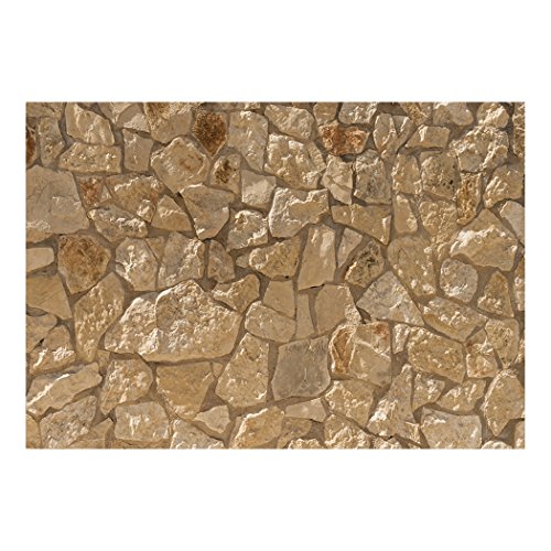 Fototapete Steinwand Steine 400×280 cm XXL | KOMPLETT SET MIT KLEISTER – PREMIUM VLIES TAPETE – PROFI QUALITÄT (Keine Papiertapete, keine Blasenbildung) – Top moderne Wanddeko – Fototapete 3D Illusion – Riesen Wandbild – Top Design Tapete – Neue exklusvie Edition mit noch besser Druckauflösung – Deutsches Premium Vlies (Kein Import Vlies oder PVC), Schlafzimmer, Wohnzimmer, Kinderzimmer geeignet | Fototapeten Wandtapete FOB0164a84XL - 3