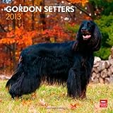 Gordon Setters 2013 - Original BrownTrout-Kalender by 