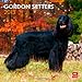 Gordon Setters 2013 - Original BrownTrout-Kalender by 