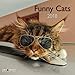 Funny Cats 2018: A&I Broschürenkalender by 