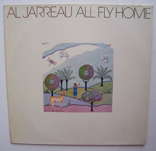 Preisvergleich Produktbild all fly home LP