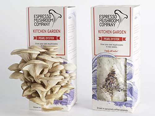 Austernpilze-Gemüsegarten zum selber Züchten – Das Kitchen Garden- Anbau-Kit - 7