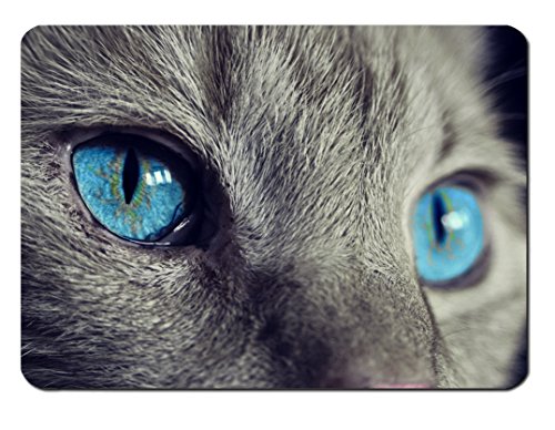 Preisvergleich Produktbild Mauspad Blue Eyes Beautiful Design