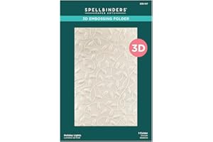 Spellbinders E3D-107 All Wrapped Up 3D Embossing Folder from The Dancin' Christmas Friends Collection