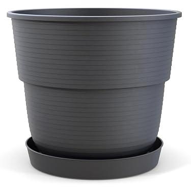 rosmarin im blumenkasten 4er Pflanzen Box italienische Kräuter – Green Me Up main image 0