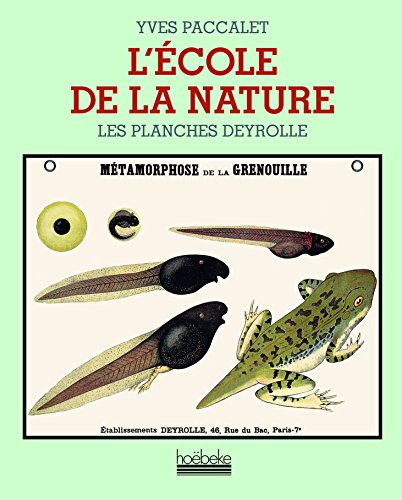 L'école de la nature: Les planches Deyrolle L'école de la nature: Les planches Deyrolle