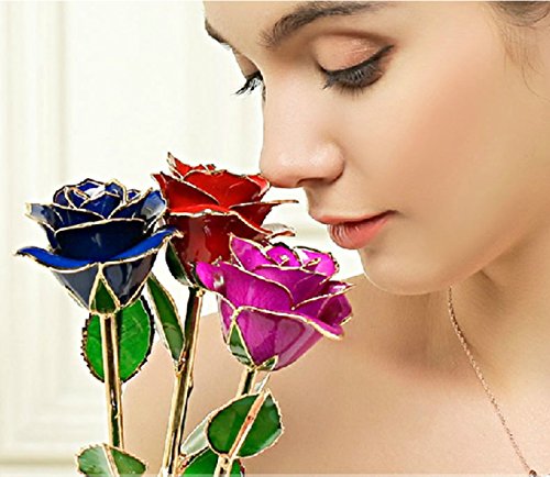 Zjchao 24 Karat vergoldet Echte Rose immer geöffnet als Geschenk für Hochzeitstag, Valentinstag, Weihnachten, Geburtstag, 29cm Länge, Verpackt in Geschenkbox mit klaren Display-Ständer (Rot) - 9