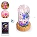 Produktbild Bluetooth-Lautsprecher Nachtlicht, niceEshop (TM) wiederaufladbare Wunsch Flasche Tischlampe, ewige Blume Mikro-Landschaft LED-Atmosphäre Lampe, perfekt für Geburtstag/Party/Festival (Blau)