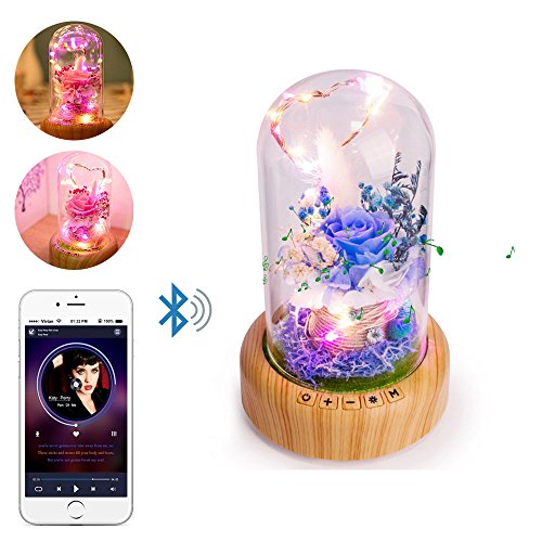 Preisvergleich Produktbild Bluetooth-Lautsprecher Nachtlicht, niceEshop (TM) wiederaufladbare Wunsch Flasche Tischlampe, ewige Blume Mikro-Landschaft LED-Atmosphäre Lampe, perfekt für Geburtstag / Party / Festival (Blau)
