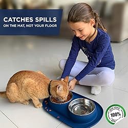 Bonza Gamelle Double pour Chat et Petit Chien de Ecuelle Eau et Nourriture avec 2 Bols en INOX et Base Silicone Antidérapante et Anti-Débordement | Accessoire Souple et Stable | pour Lave-Vaisselle