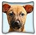 Produktbild Custom Cotton & Polyester Soft ( Animals dog littles face eyes ) Pillowcase Standard Size 16"X16" Design Pillow Case Cover suitable for King-bed PC-Yellow-1130