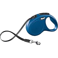 best retractable lead