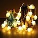 Produktbild Glühbirnen Lichterkette,gaddrt Tannenzapfen Dekorative Lampe Wasserdichte LED-Lampe String Hof Balkonlampe (B)