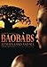 Produktbild Baobabs Between Land and Sea [DVD-AUDIO]