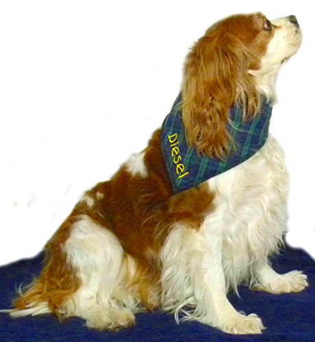 Spoilt-Rotten-Blue-Tartan-Dog-Bandana