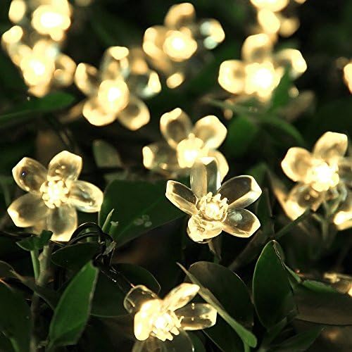 Solar Powered LED String Lights, Decorative Solar Fairy String Lights for Outdoor Garden Patio Fence Xmas Christmas Tree Decorations (Warm White, 6m, 50 Flowers)