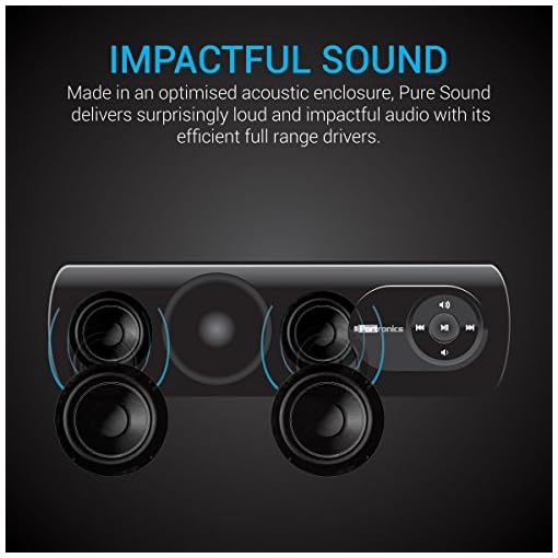 portronics pure sound portable speaker system