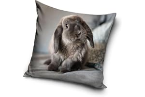 CARBOTEX Hasen Kaninchen Baby Motiv Kissenhülle Kissenbezug 40x40 cm (PNL235048)