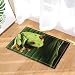 Produktbild gohebe Reptile Decor Funky Frosch mit Big Eyes auf Blätter Bad Teppiche rutschhemmend Fußmatte Boden Eingänge Innen vorne Fußmatte Kinder Badematte 39,9x59,9cm Badezimmer Zubehör