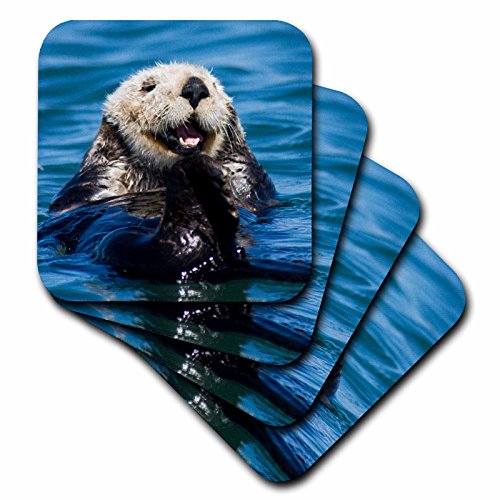3dRose CST_88466_2 California Sea Otter, Moss Landing, California-Us05 Jgs0198-Jim Goldstein-Soft Coasters, Set of 8