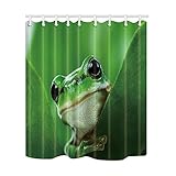 KOTOM Animal Cortinas de Ducha, Rana Detrás de Verde Plam Hoja Impermeable Resistente al Moho...