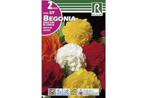 ROCALBA BULBO BEGONIA DOBLE FLOR DE CAMELIA - 2 BULBOS